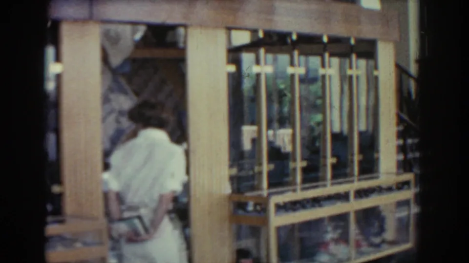 In 1962 Rhodes, Greece, a person in a white shirt is seen beside a gold-framed glass display case inside a shop.