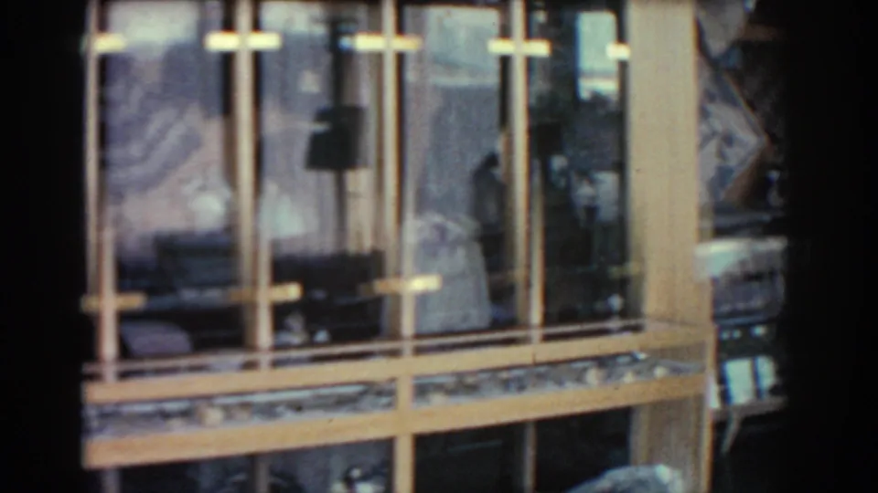 Gold-framed glass showcases and reflected merchandise dominate the 1962 Rhodes shop view, with a faint person partly visible behind the glass.