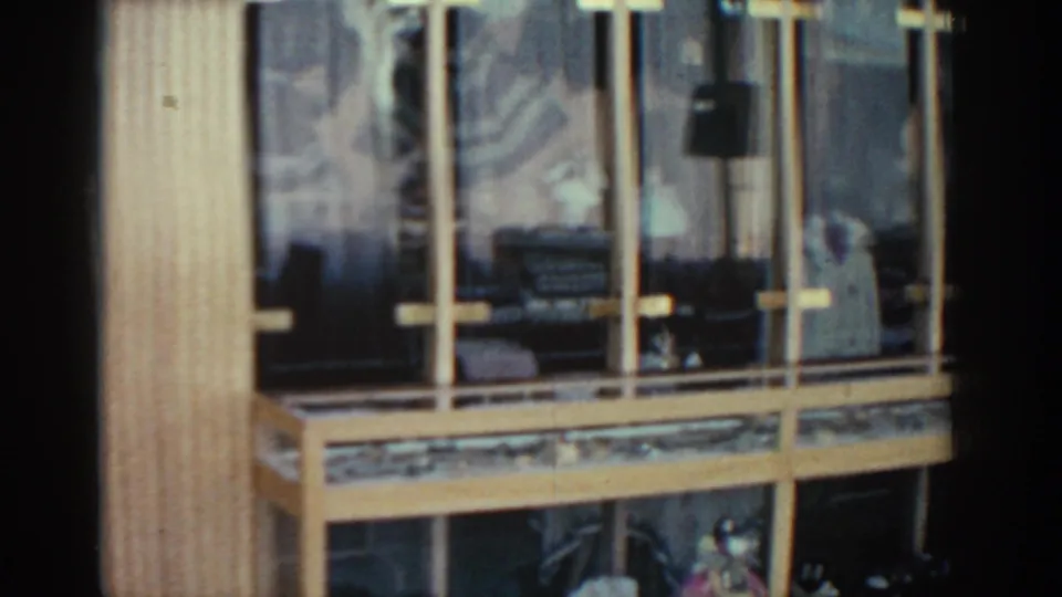 A gold-framed shop display case with shelves and reflections is shown as a person in light clothing appears at the right edge.