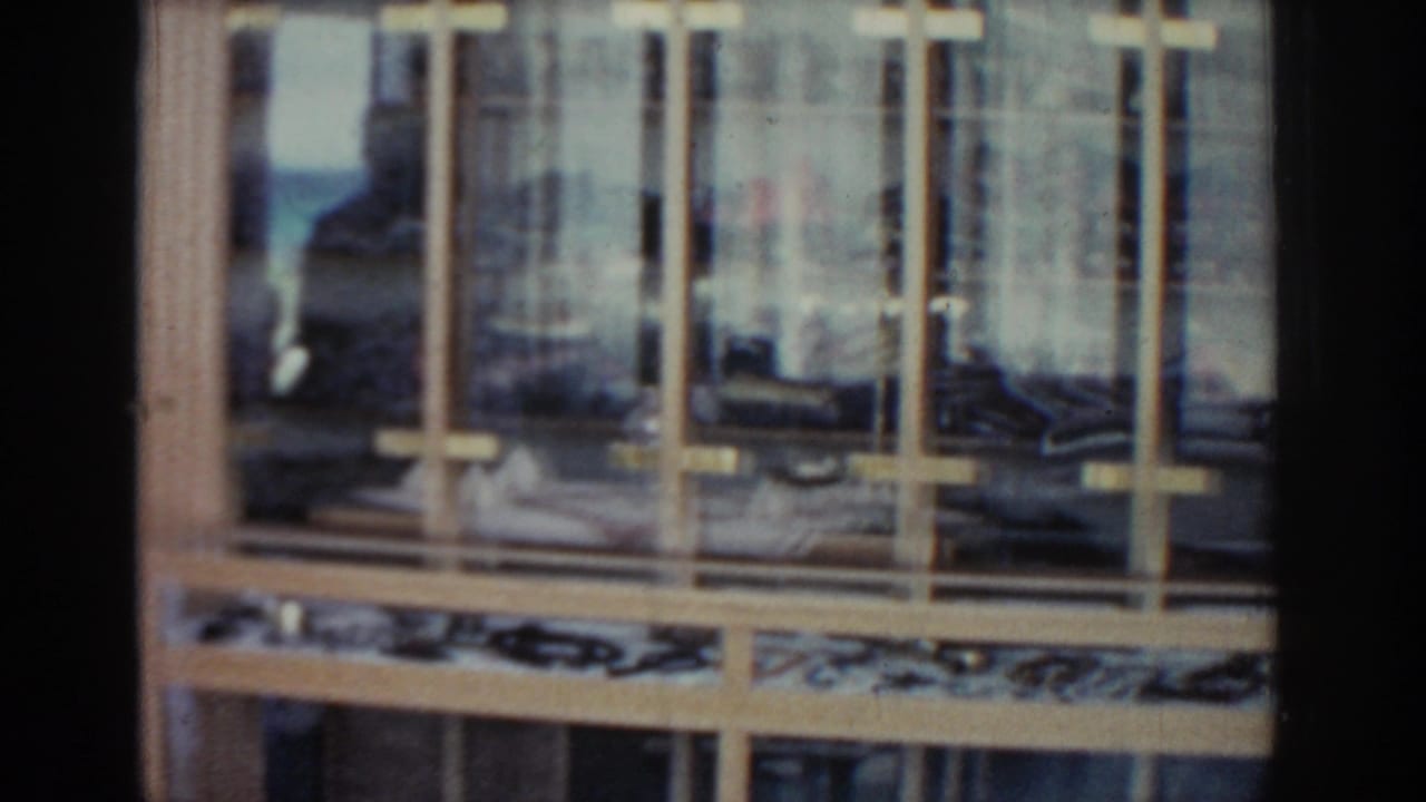 Wood-framed shop window with glass display shelves and reflections.