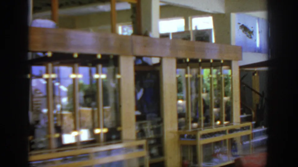 1962 Rhodes frame showing glass display cases and vertical wood slats under high windows with bluish light, plus polished floor and red seating.