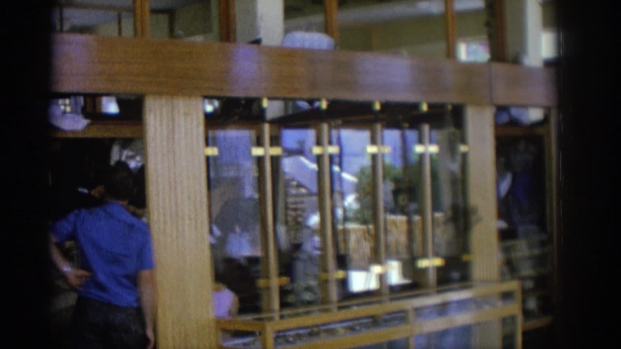 Man in a blue shirt standing near glass display cases.