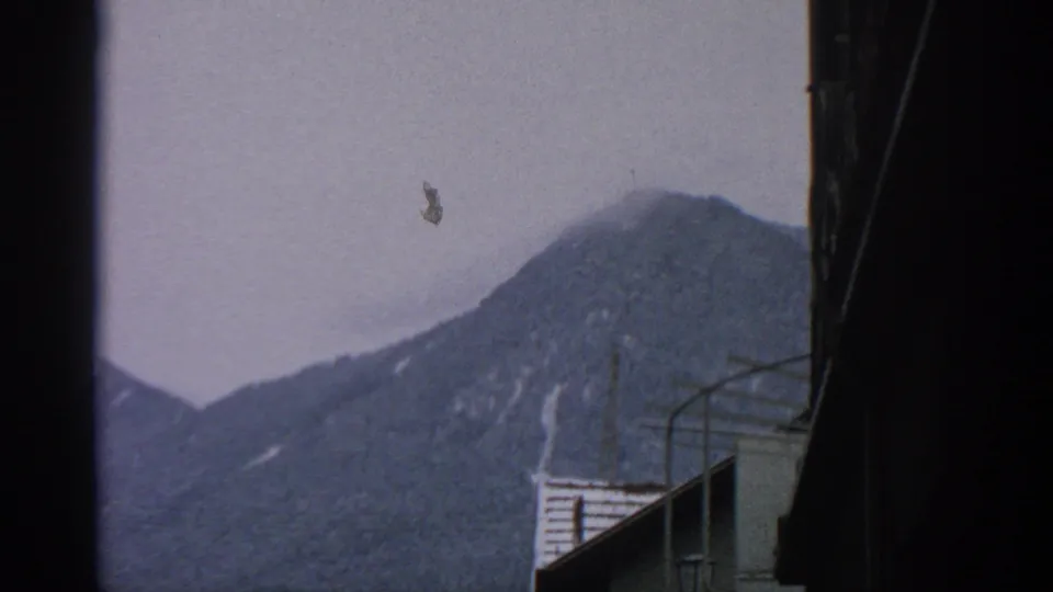 1963 8mm view in Munich, Germany, showing snow-dusted mountains beyond town buildings and a dark vertical film edge.