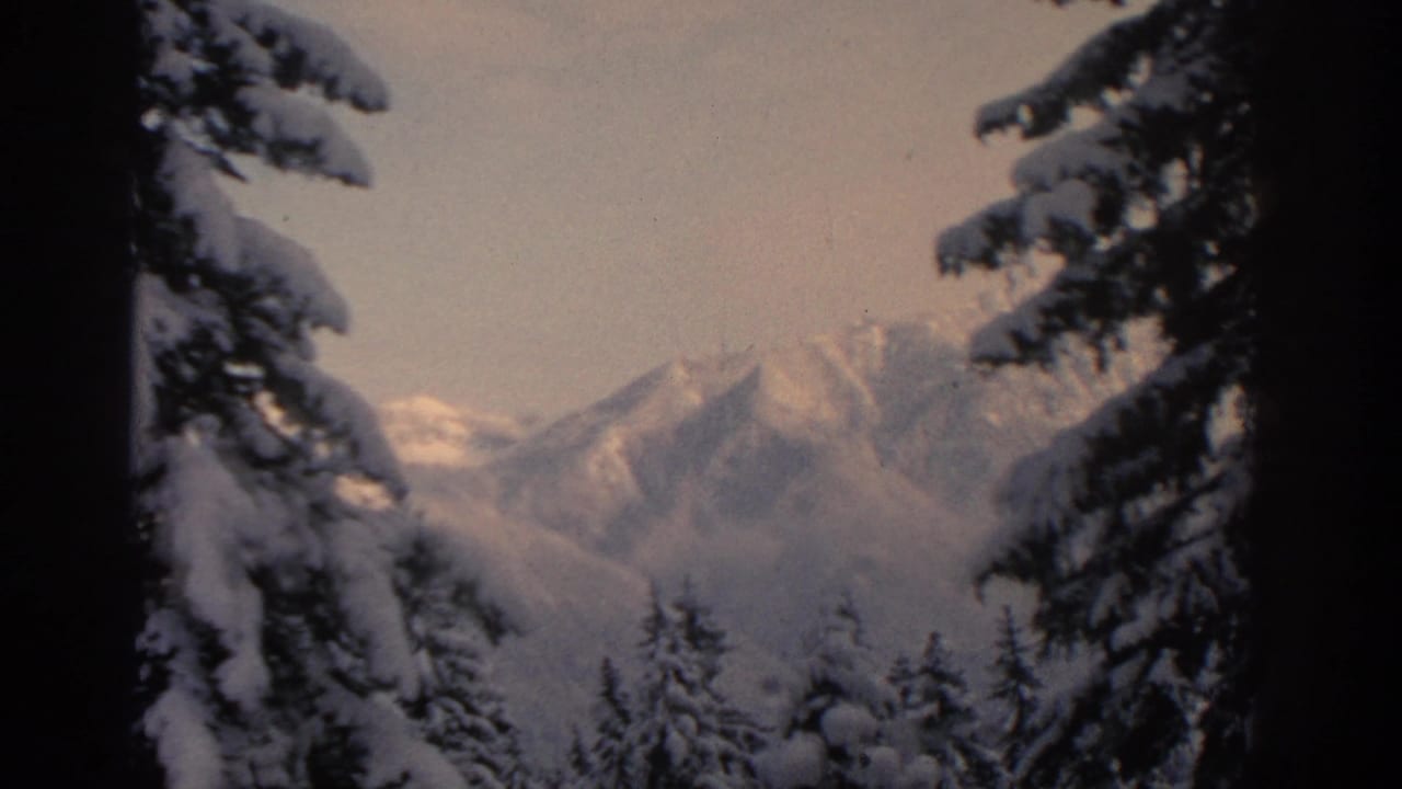 Snow-covered spruce trees frame distant snowy mountain peaks under a pale winter sky.