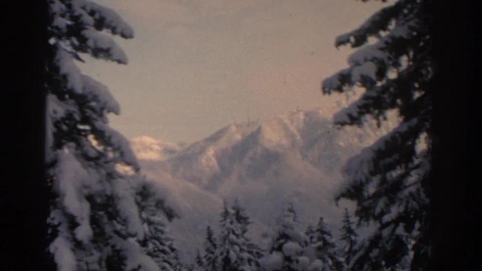 1963 8mm home-movie frame near Munich showing snow-laden spruce trees with distant mountains beyond.