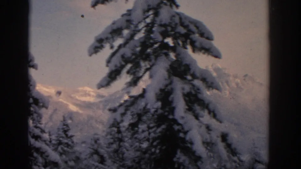 Snow-covered evergreens and a central tree trunk frame a distant mountain view in 1963 Munich-area footage.