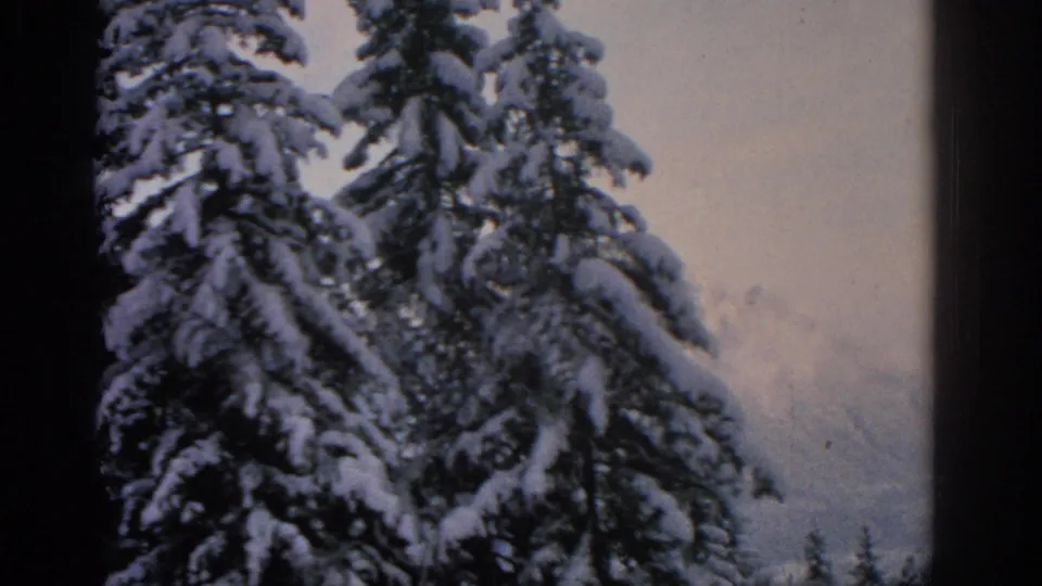1963 Munich-area home-movie frame showing tall snow-covered spruce trees before distant snowy mountains.