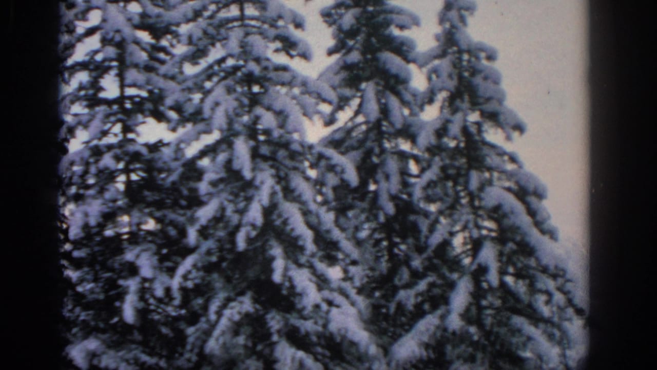 1963 home-movie frame from Munich area showing dense snow-covered evergreens and dark film-edge shadows.