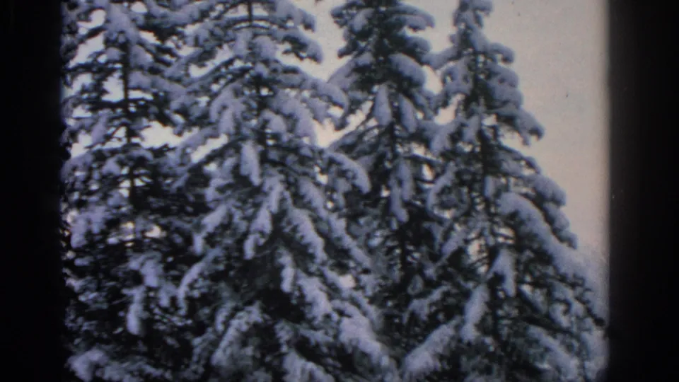 1963 home-movie frame from Munich area showing dense snow-covered evergreens and dark film-edge shadows.