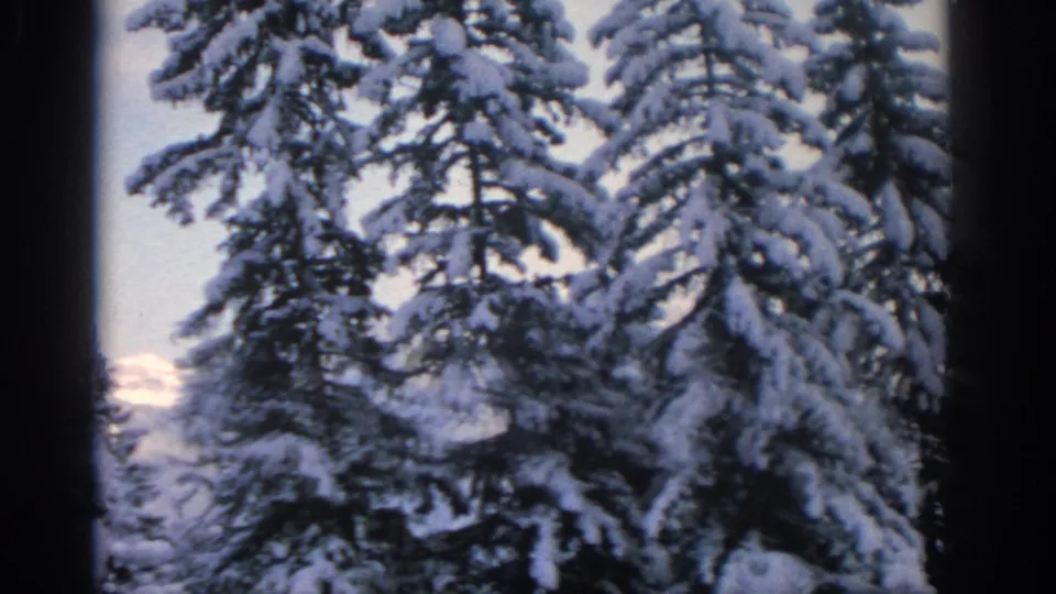 Snow-coated trees in a 1960s Munich-area winter view partially reveal distant alpine terrain through the branches.