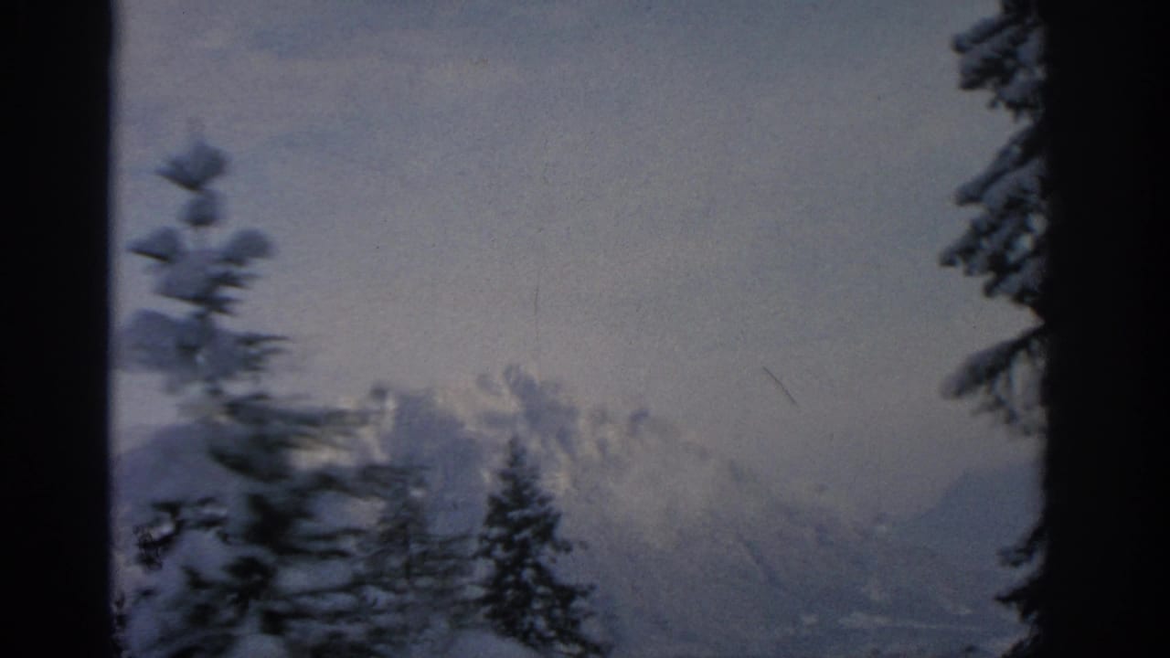 Snowy mountain landscape partly obscured by dark evergreen trees and haze.