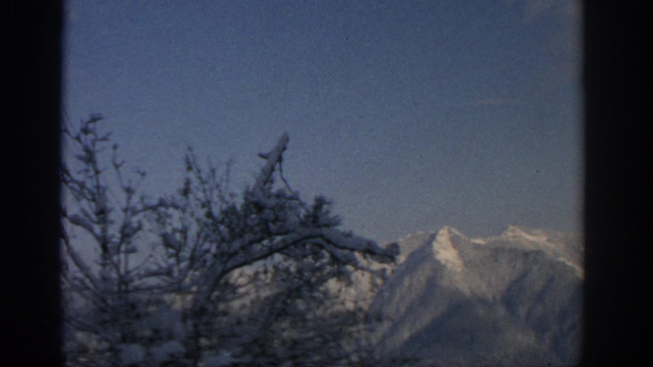 Snowy mountain peaks seen through dark tree branches and film gate borders.