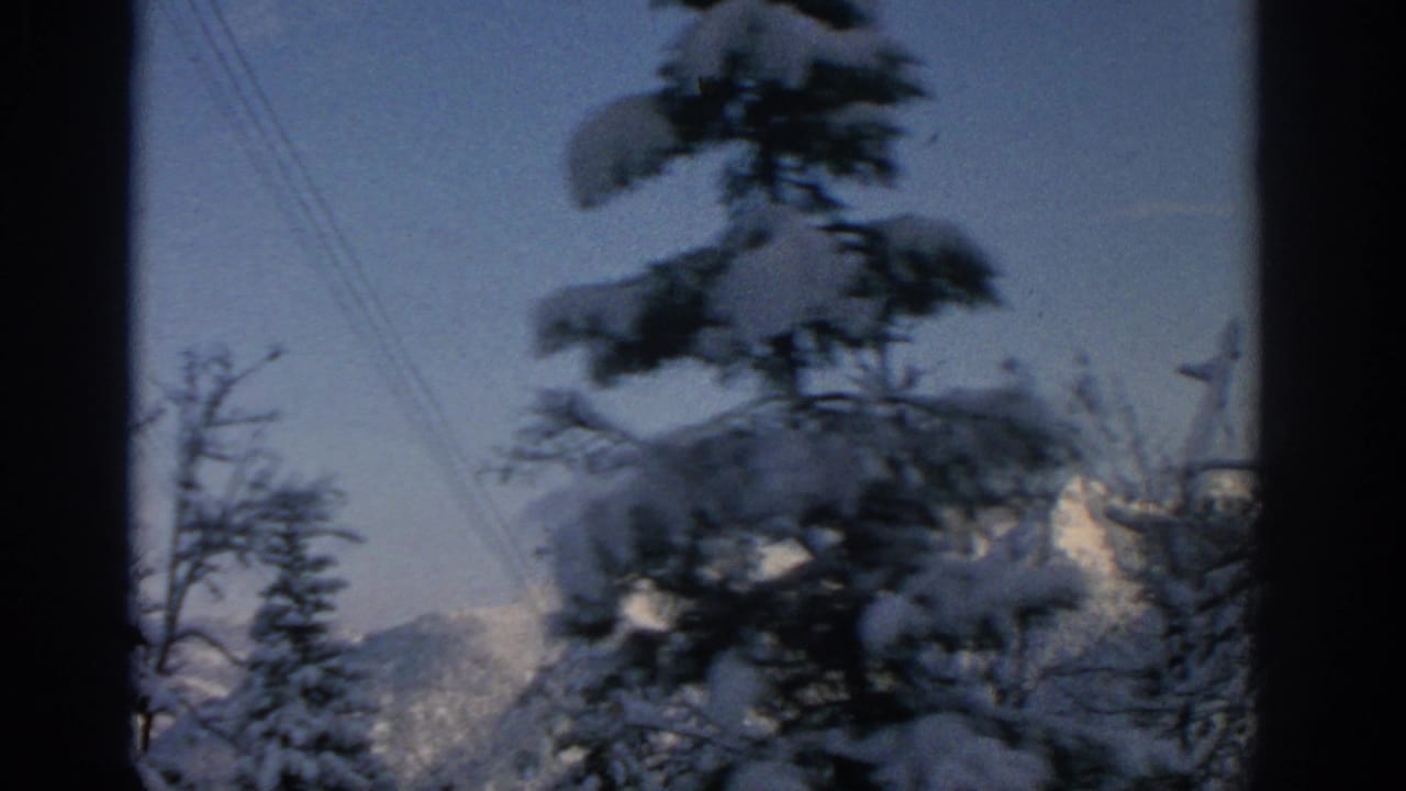 Evergreen tree and overhead wires in front of distant snowy mountains.