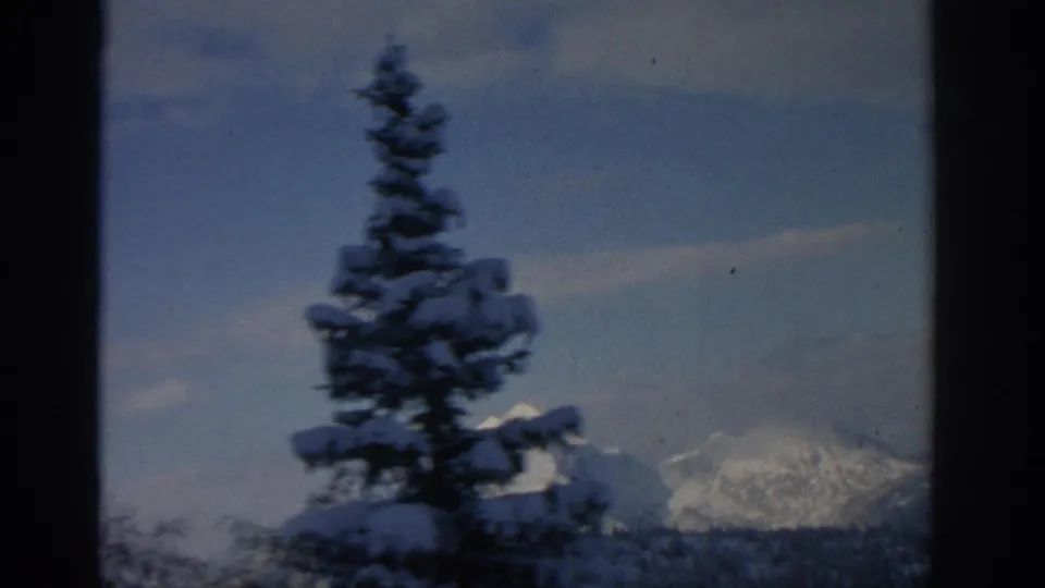 1963 8mm home-movie view near Munich, Germany, with a snow-laden evergreen before distant white mountain peaks.