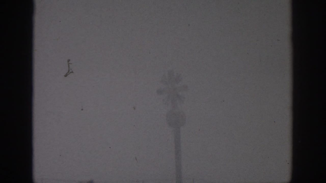 Foggy exterior view through dark window framing with a tall palm-like silhouette.