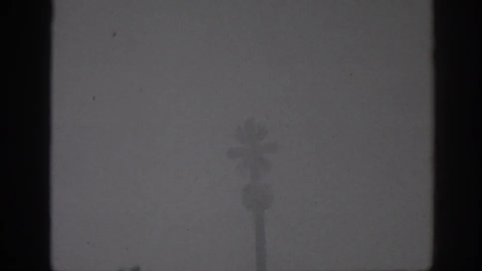 Low-exposure 8mm view from inside a Munich building, with a dark window frame and faint exterior palm-like form.