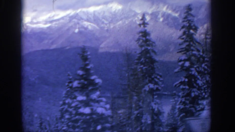 1963 8mm Munich-area home-movie frame with tall snow-covered pines in front of a hazy mountain slope and valley below.