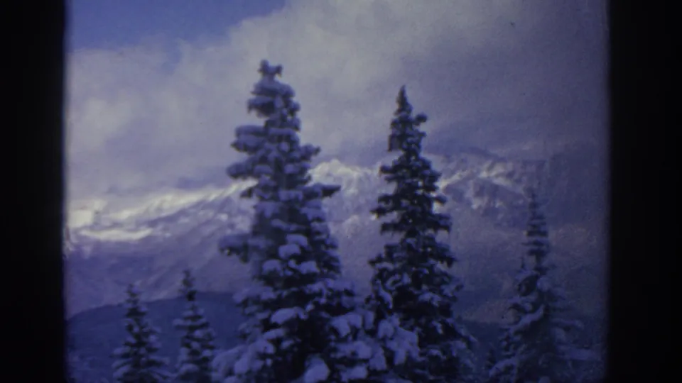 1963 home-movie frame showing tall snowy pines in the foreground with a soft, clouded mountain view behind them.