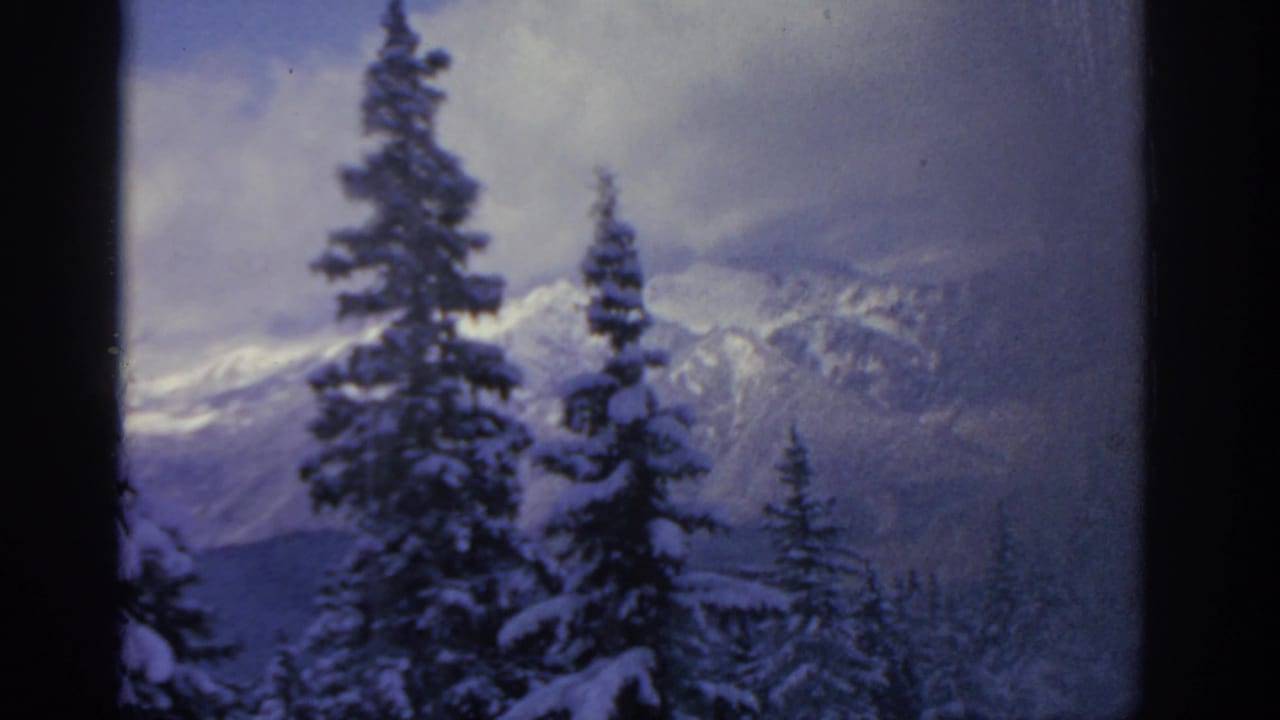 Snow-covered evergreen trees stand before a distant mountain range under a cloudy winter sky.