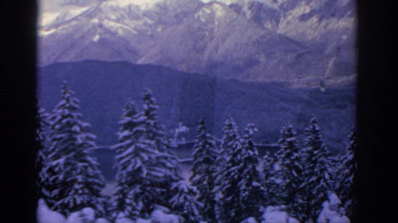 Snow-covered evergreen trees below distant mountain ridges in a blue-toned 8mm frame.
