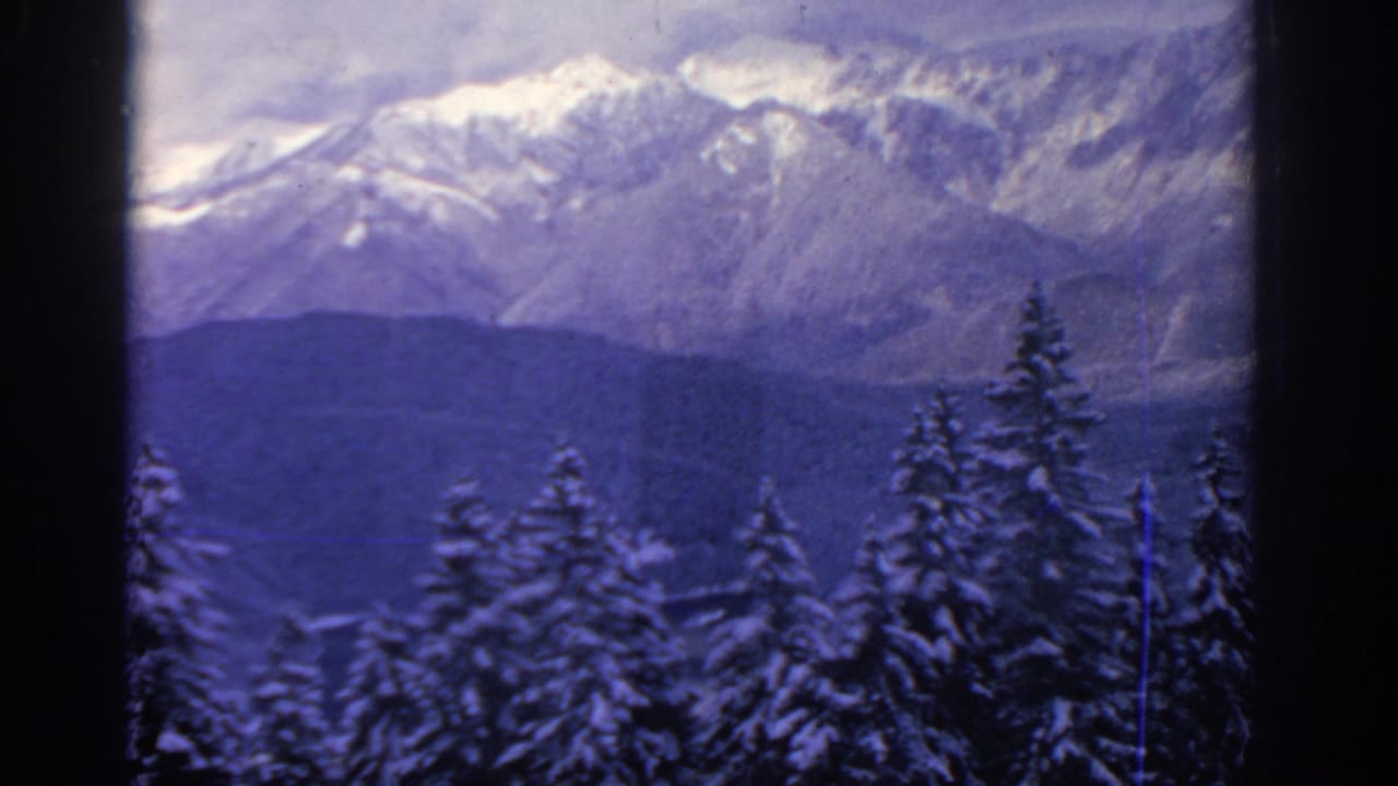 Snow-covered evergreens in front of distant snowy mountains under a cloudy sky.