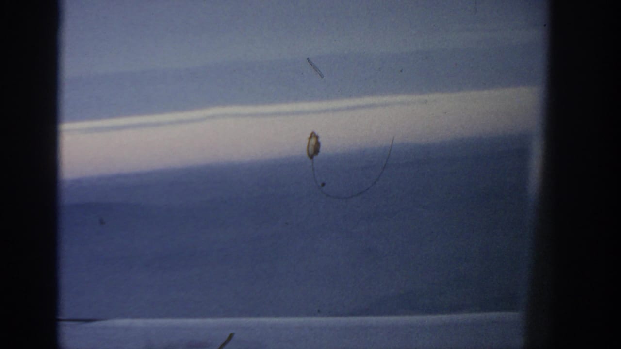 1963 8mm Warsaw-attributed travel view with a soft blue-gray landscape, pale sky band, and visible film scratches.
