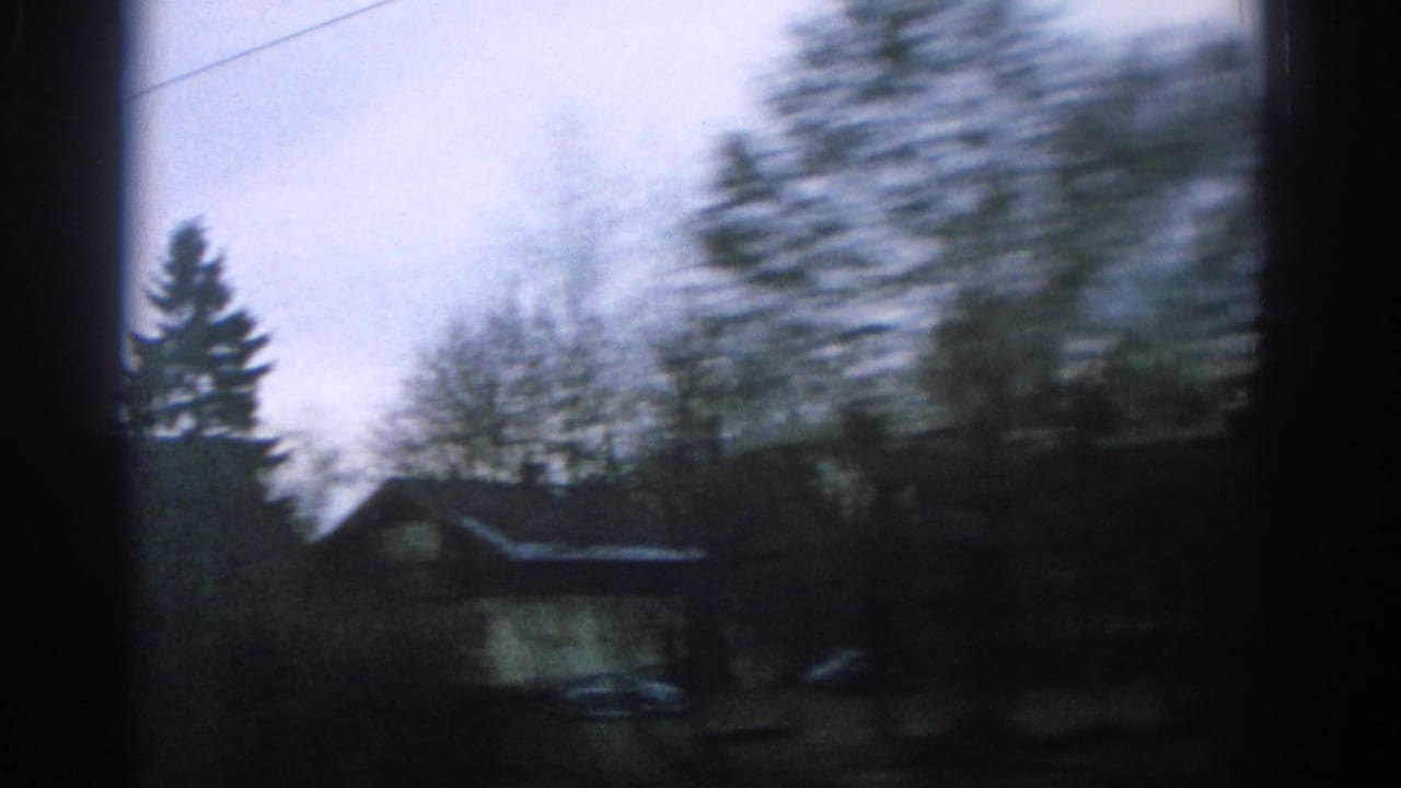Blurred roadside trees and small houses seen from a moving vehicle under a cloudy sky.