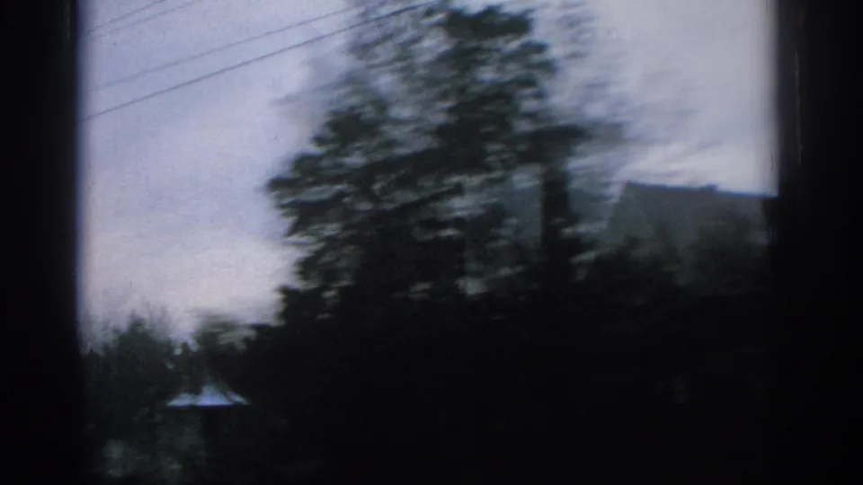 1963 Zurich home-movie frame with a motion-blurred tree, low roofline, and cloudy sky during roadside travel.