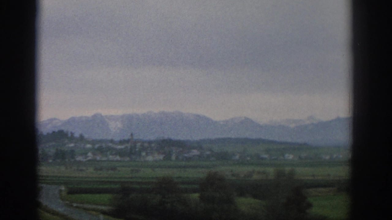 Green fields and a distant village below snow-capped mountains under cloudy sky.