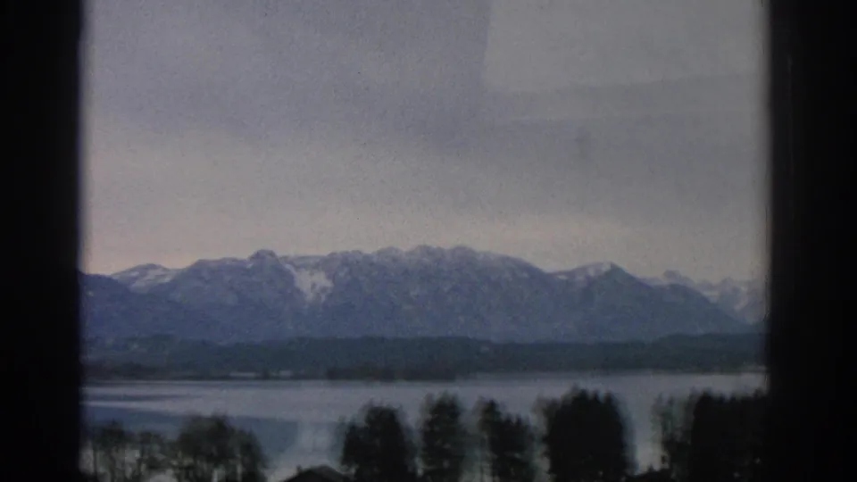Swiss lakeside landscape with dark foreground trees, still water, and snow-capped mountains under a gray sky.