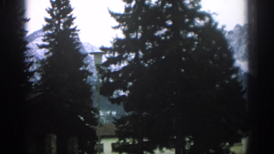 1963 Swiss 8mm view of dense evergreen trees with a mountain backdrop partly hidden by branches and soft exposure.
