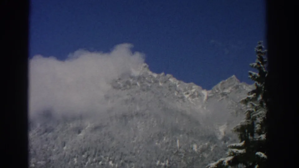 1963 Swiss alpine view with low clouds crossing a snow-covered ridge and a tall evergreen along the right edge.