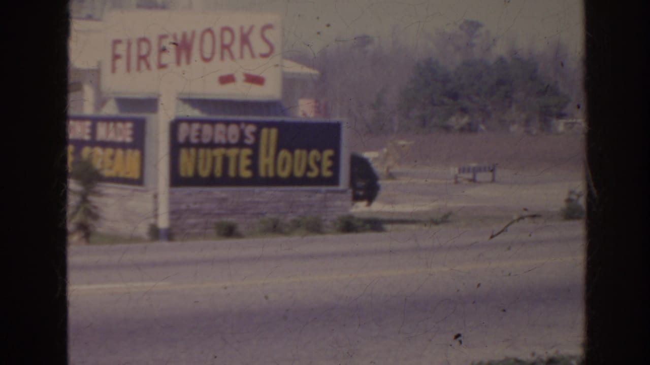 Closer view of Fort Pedro Fireworks and Pedro's Nutte House signs along the roadside.
