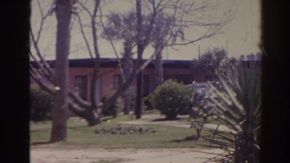 1962 Florida motel exterior seen across a landscaped yard with palm trees, shrubs, and a low pink building.