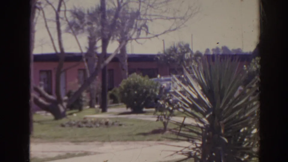 1962 Florida roadside motel yard with a low pink building, palms, lawn, bushes, and a large spiky plant in front.