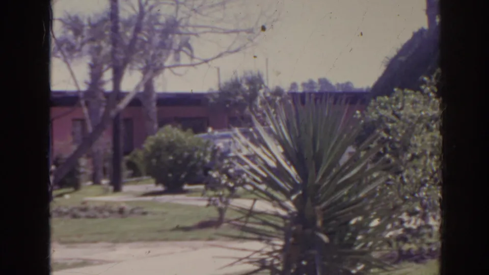 1962 Florida motel exterior framed by a large spiky plant, shrubbery, lawn, and a low pink building under bright light.