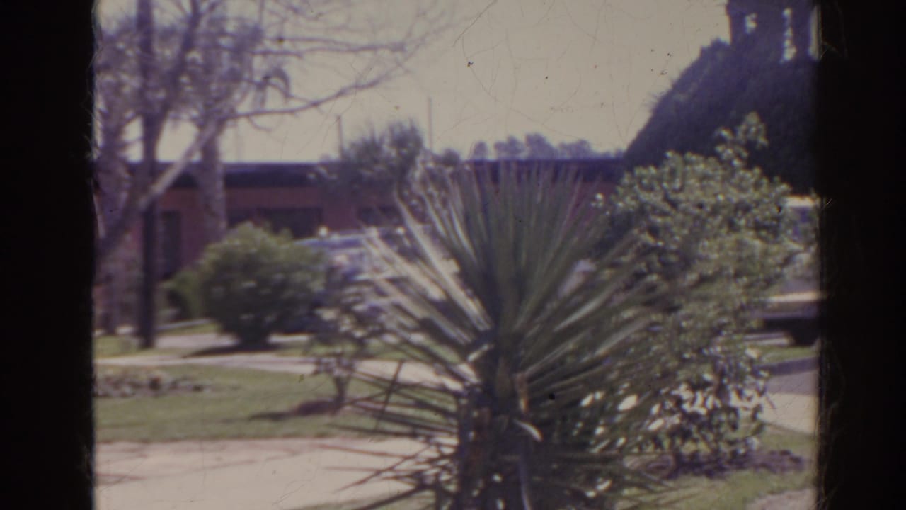 1962 Florida home-movie frame showing motel grounds with a spiky plant in front, lawn and sidewalk, and a white sedan beyond the shrubs.