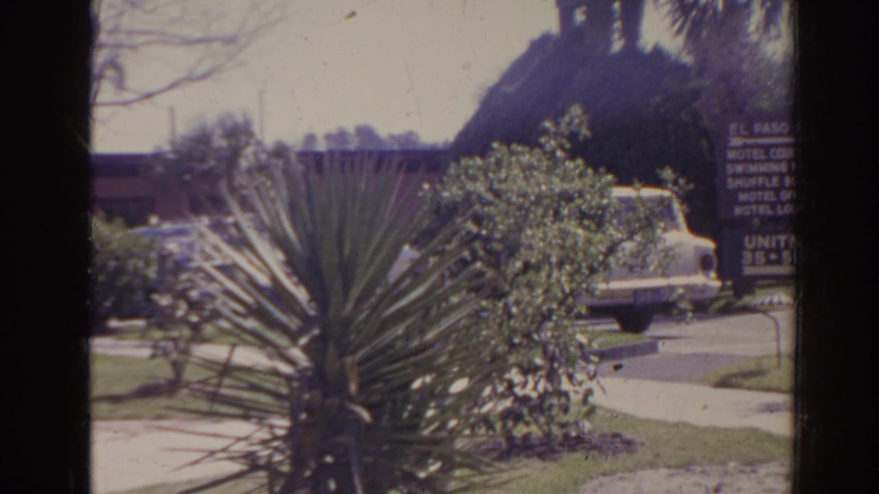 Spiky plant and shrubs in a motel parking area, with a white sedan and El Paso Inn sign at right.
