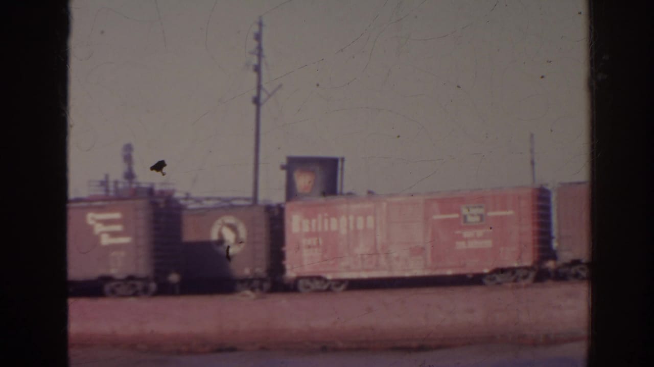 Red freight boxcars on a brown barge with utility poles behind them.