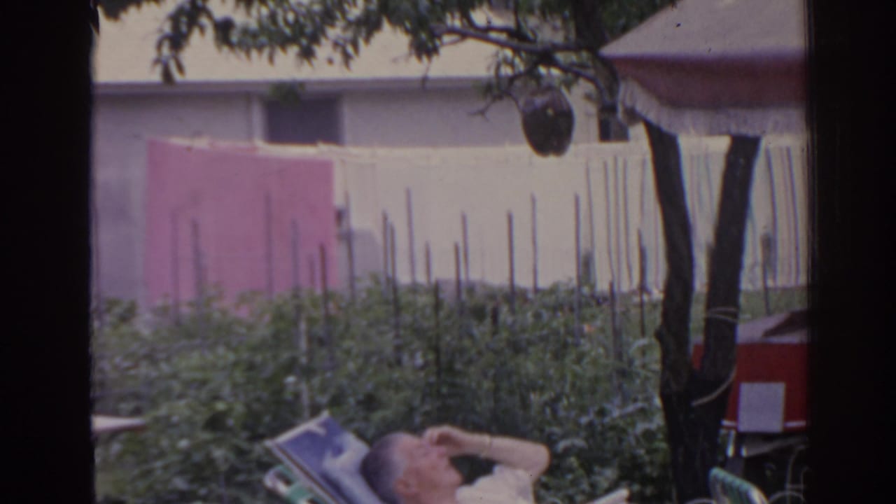 1962 Florida home-movie frame showing a reclining adult in a backyard garden with planting rows, tree shade, pink wall, and canopy.