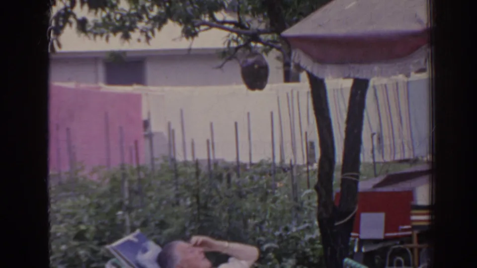 1962 Florida backyard view with a partially visible reclining adult, garden plants, pink wall, tree trunk, and striped canopy.