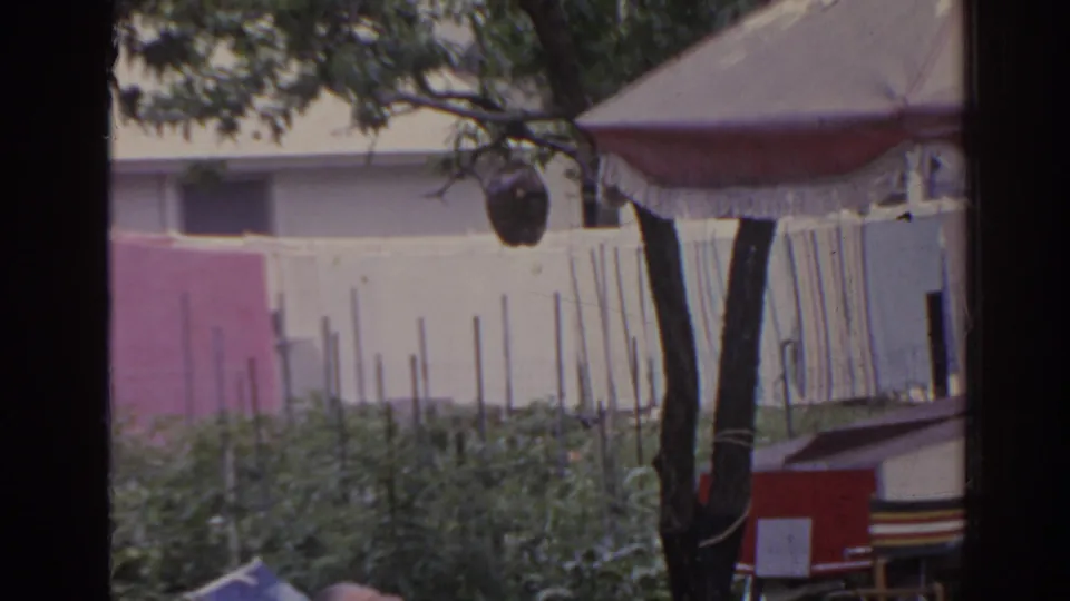 1962 Florida home-movie still with the adult mostly at frame edge, garden rows, pink wall, trees, and striped canopy visible.