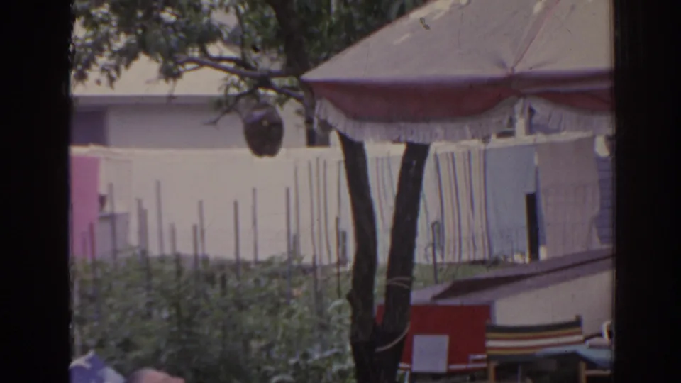 1962 Florida backyard scene showing garden rows, tree shade, pink wall, striped canopy, red structure, and a partly visible reclining adult.