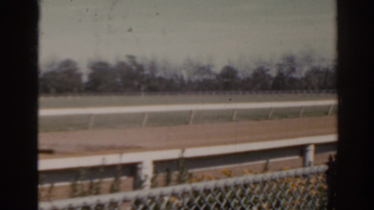 Empty stretch of racetrack with white railings, chain-link fence, and trees beyond.