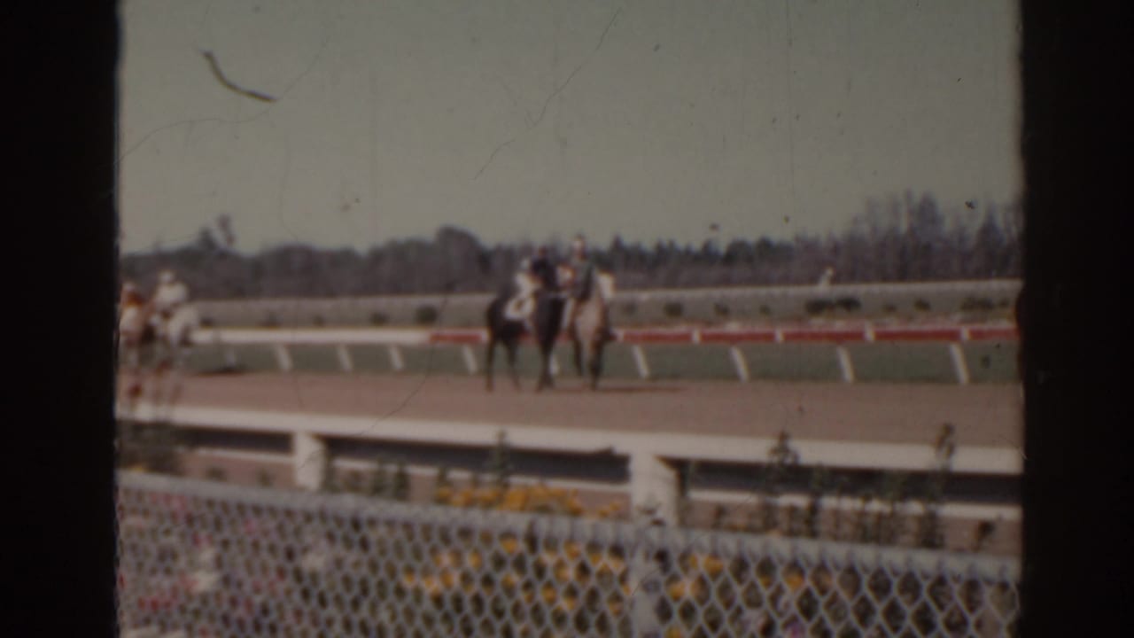 Several mounted riders are visible on the racetrack beyond the fence.