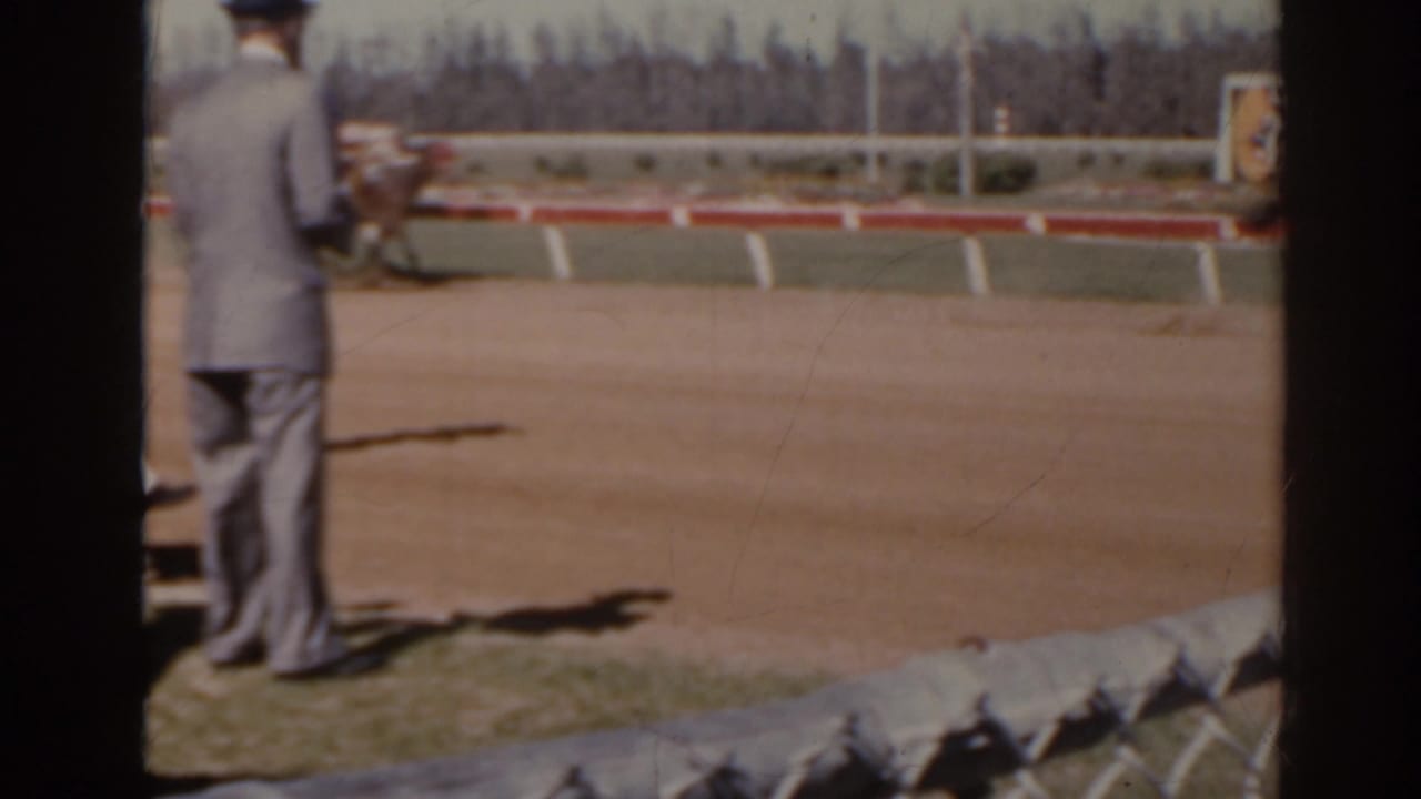 Trackside 1962 Florida view with a suited spectator in the foreground and racehorses moving beyond the rail.