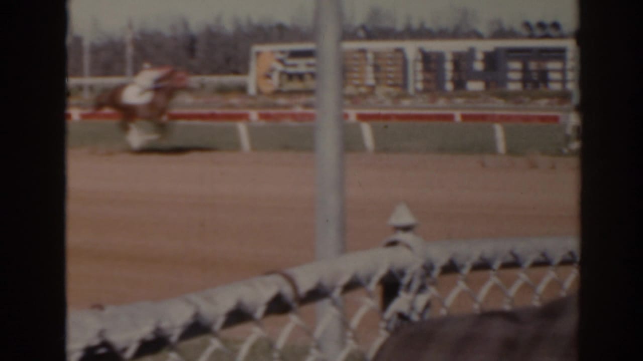 Racehorse and jockey passing a chain-link fence at a dirt track.