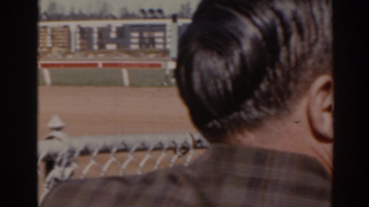 Spectator in plaid shirt watching a horse race through vertical fence posts.