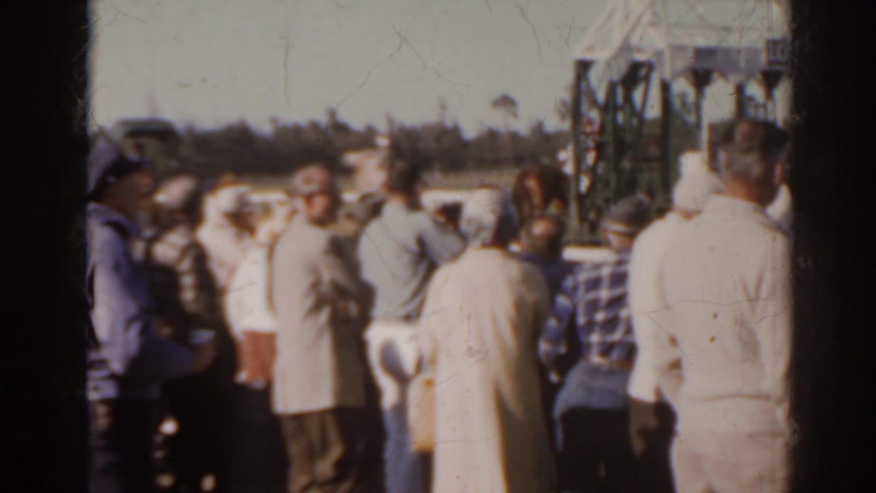 Crowd seen from behind watching a racetrack with starting gates in the background.