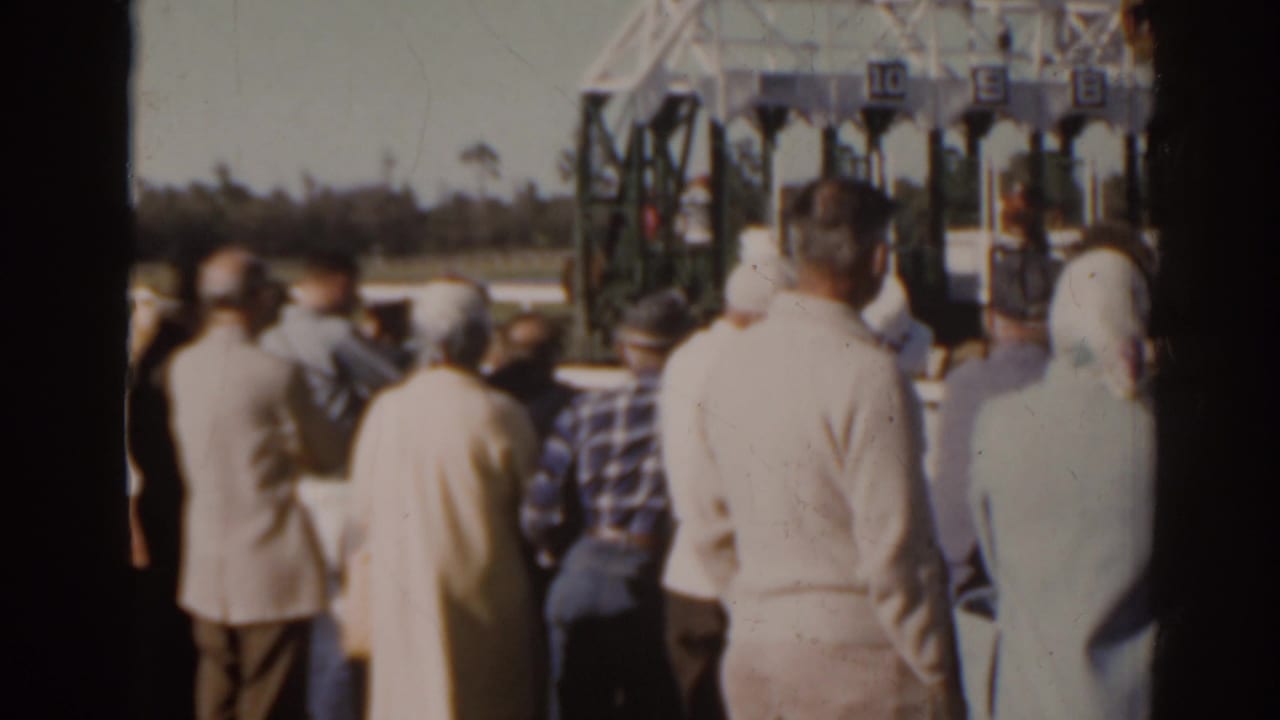 Spectators stand near a racetrack as numbered starting gates fill the background.